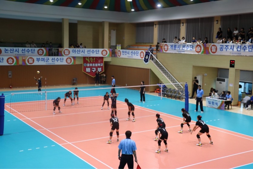 d1e23179cf8cc4f876087f0a09ac3b49_1701665151_7144.jpg